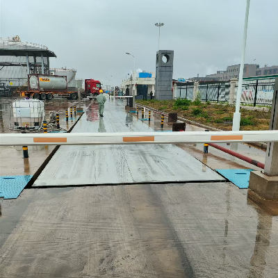 湖南利尔生物科技有限公司生物发酵技术产业建设汽车衡项目